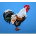 Rooster 1 Rooster 1