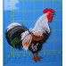 Rooster 1 Rooster 1